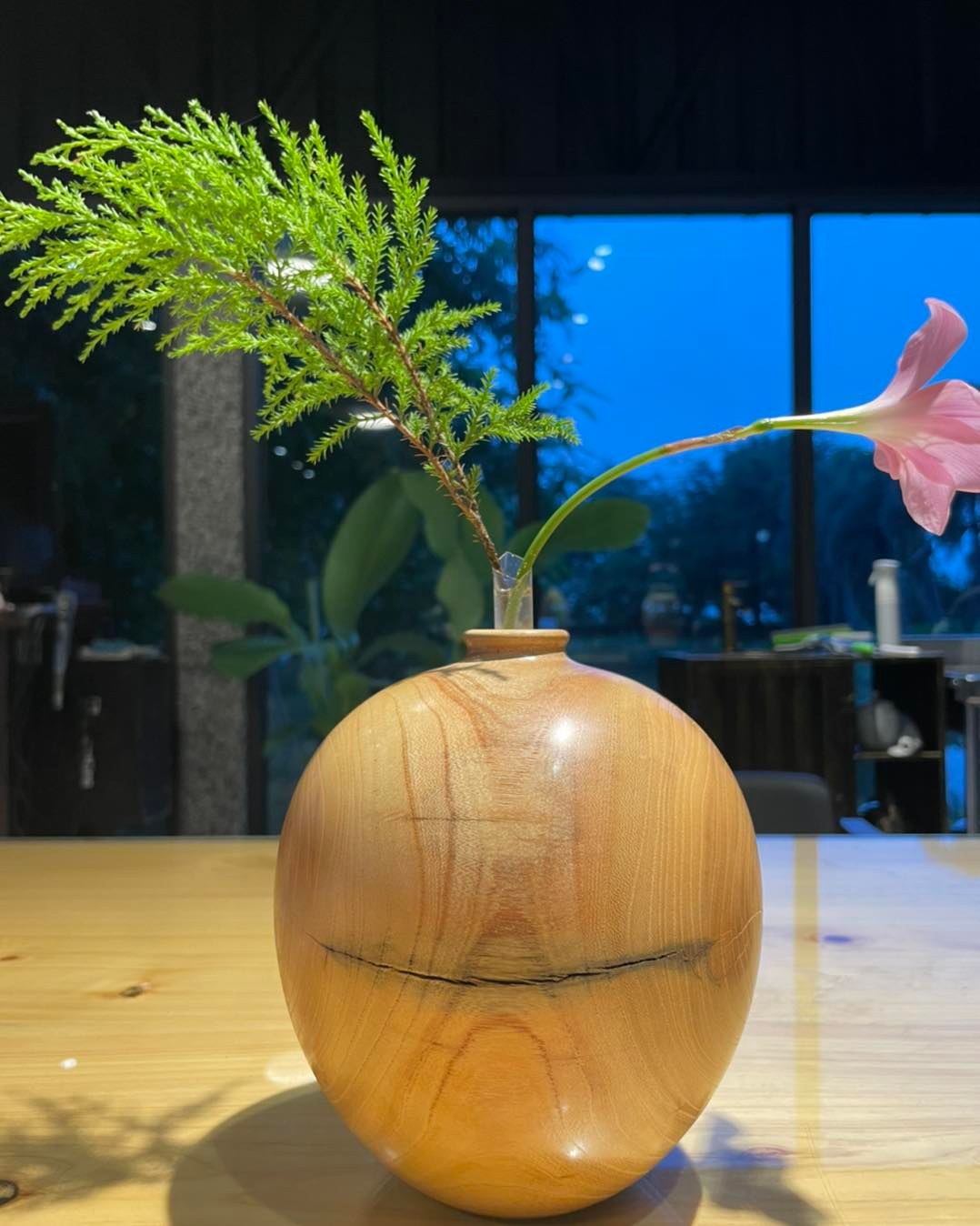櫸木原木花瓶修煉 視角 3